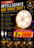 Prix : 2 à 3000f au lieu de 12000f . 

Veilleuse LED aste pas USB avec détecteur de mouvement , lampe sans fil pour armoire de cuisine, lampe de garde robe , lumière d’escalier.